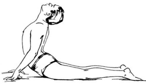 Бхаджангасана - поза кобры.