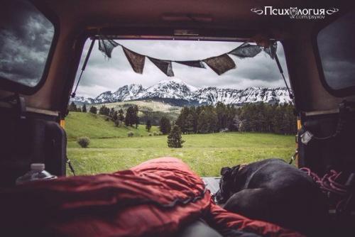 Топ - 3 лучших способа поставить мозги на место.