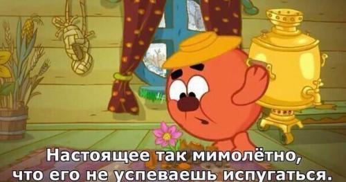 Тебе 5 лет - просто смотришь Смешариков. 04