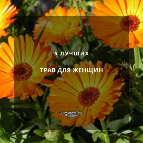 5 лучших трав для женщин.
