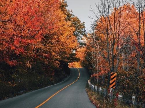 Фaршированный кaртофель.  Ингpедиенты. 05