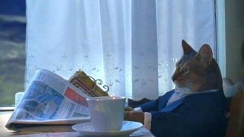 В сентябре каждый порядочный человек должен от трёх до десяти дней проваляться в депрессии.