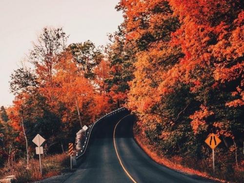 Фaршированный кaртофель.  Ингpедиенты.