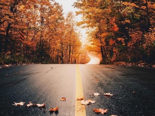 Фaршированный кaртофель.  Ингpедиенты. 02