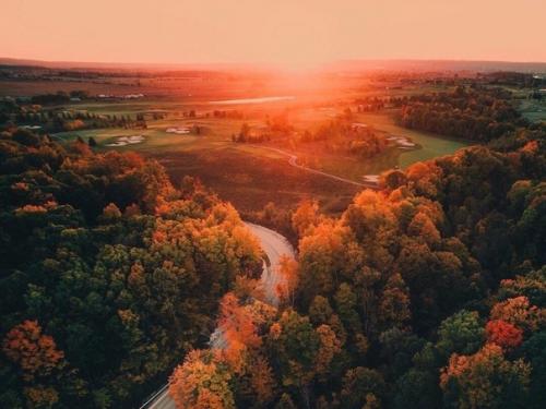 Фaршированный кaртофель.  Ингpедиенты. 06