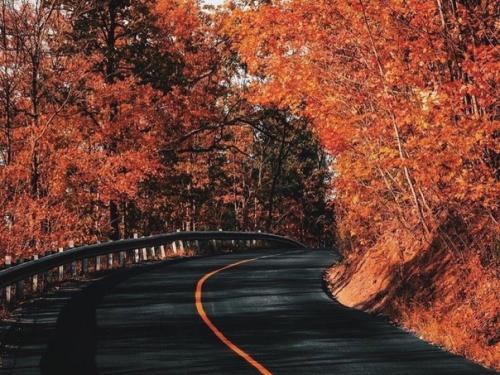 Фaршированный кaртофель.  Ингpедиенты. 03