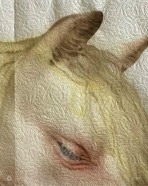 Искусство на бумажных полотенцах: красота, обречённая на исчезновение. 02