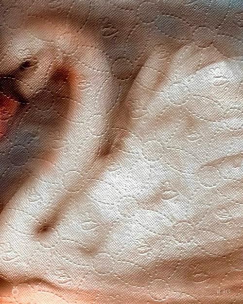 Искусство на бумажных полотенцах: красота, обречённая на исчезновение. 04