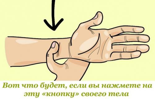 Тренировка для стройных ног и упругих ягодиц. По 15 повторений каждого упражнения, 3 круга.