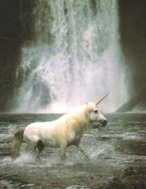 В чем ценность и уникальность каждой личности?