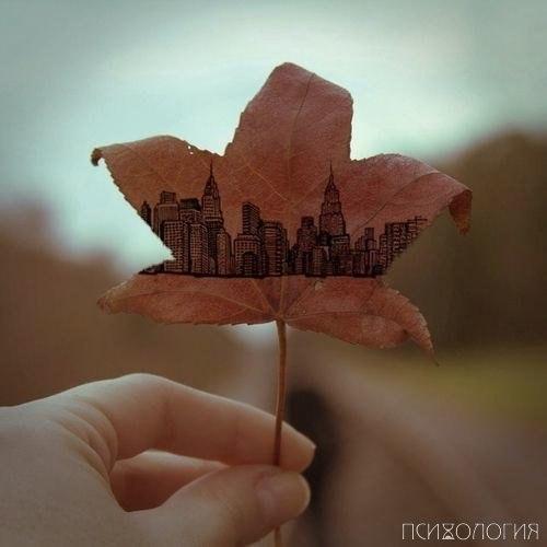 Несколько простых упражнений для развития творческих способностей? Несколько простых упражнений для развития творческих способностей?