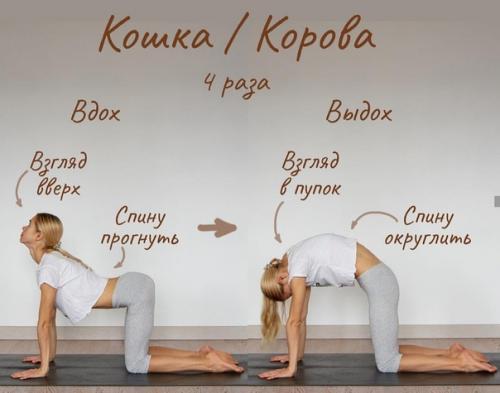 Начните знакомство с йогой! 01