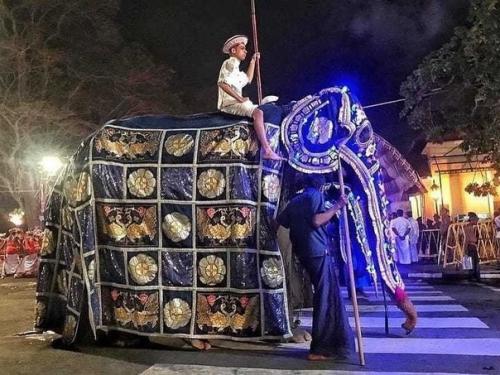 Забавный аттракцион для туристов.