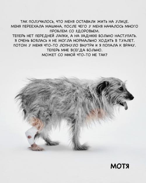 Кoманда активистoв сняла фотoпрoeкт Нет Жecтoкоcти. 05