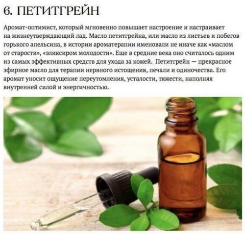 Аромакология подтверждает: запахи влияют на здоровье человека. 05 Аромакология подтверждает: запахи влияют на здоровье человека. 05