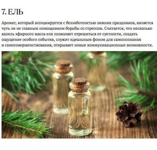 Аромакология подтверждает: запахи влияют на здоровье человека. 06 Аромакология подтверждает: запахи влияют на здоровье человека. 06