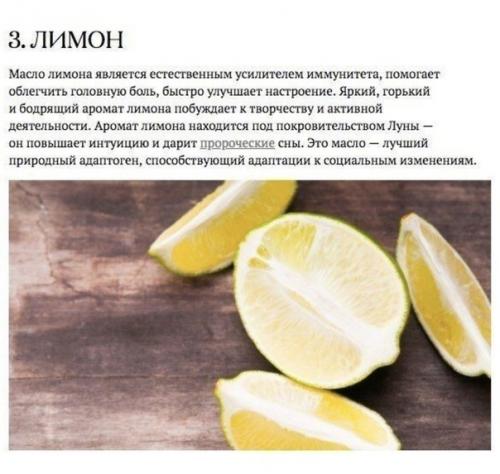 Аромакология подтверждает: запахи влияют на здоровье человека. 02 Аромакология подтверждает: запахи влияют на здоровье человека. 02