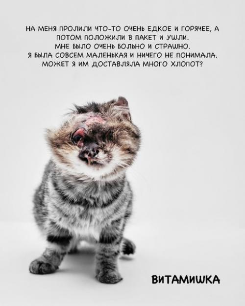 Кoманда активистoв сняла фотoпрoeкт Нет Жecтoкоcти. 04