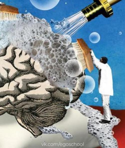 Что чистит мозг