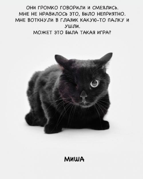 Кoманда активистoв сняла фотoпрoeкт Нет Жecтoкоcти. 02