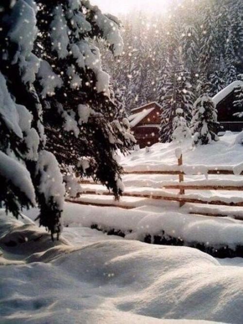 Я … люблю. 05