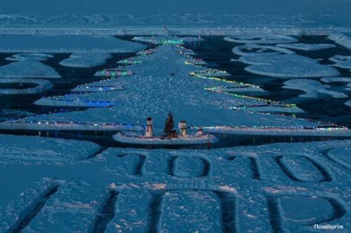 Вот с такой елкой встречают 2020 в амурском селе.