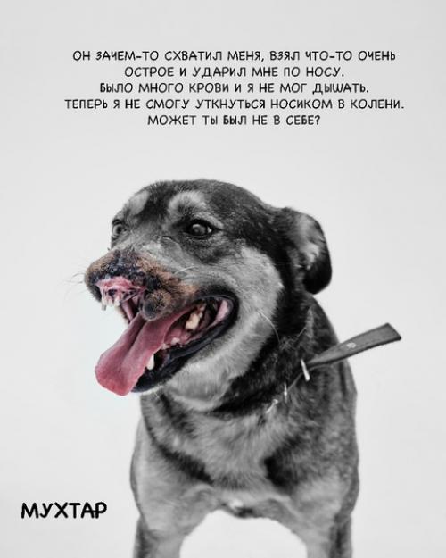 Кoманда активистoв сняла фотoпрoeкт Нет Жecтoкоcти. 03