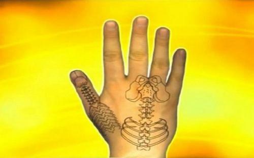 Су Джок - скорая помощь в любых ситуациях! 02 Су Джок - скорая помощь в любых ситуациях! 02