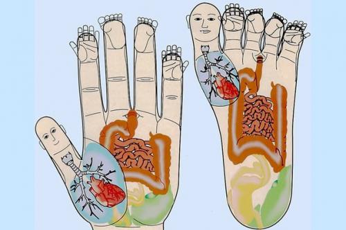 Су Джок - скорая помощь в любых ситуациях! 04 Су Джок - скорая помощь в любых ситуациях! 04