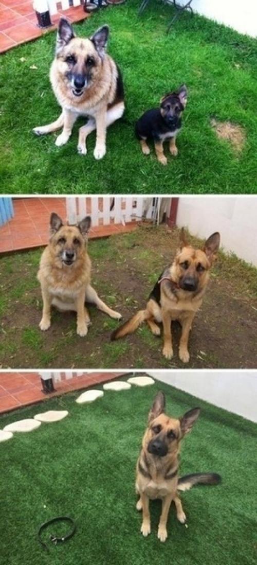 Фотографии с особой атмосферой. 03