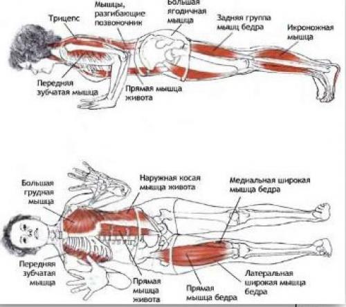 Чатуранга дандасана (поза посоха).