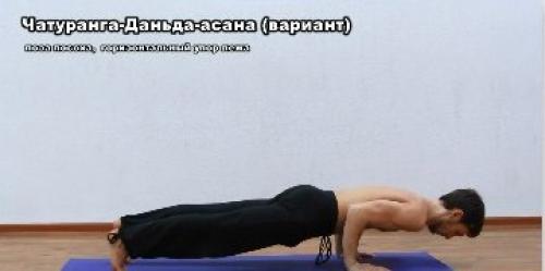 Чатуранга дандасана (поза посоха).
