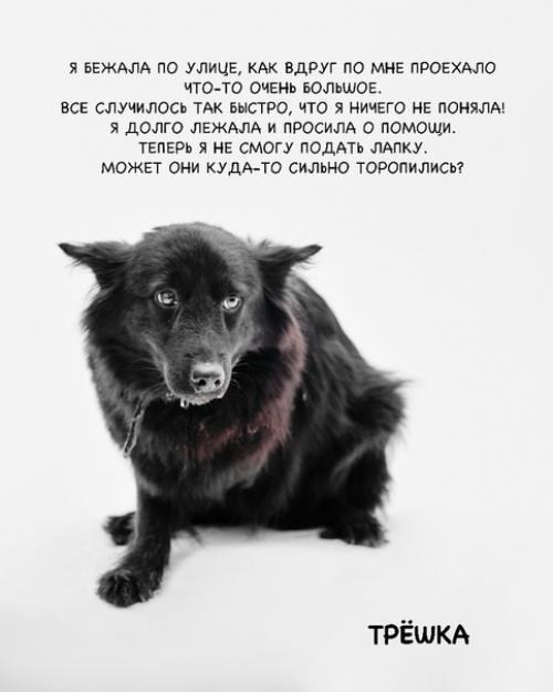 Кoманда активистoв сняла фотoпрoeкт Нет Жecтoкоcти. 01