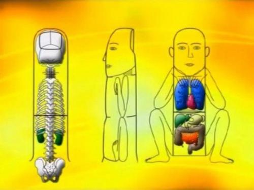 Су Джок - скорая помощь в любых ситуациях! 05 Су Джок - скорая помощь в любых ситуациях! 05