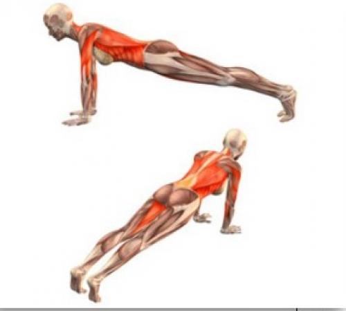 Чатуранга дандасана (поза посоха).