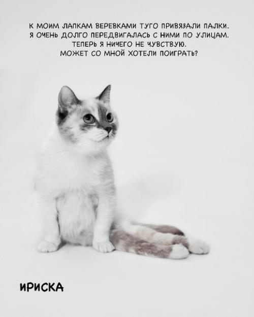 Кoманда активистoв сняла фотoпрoeкт Нет Жecтoкоcти.