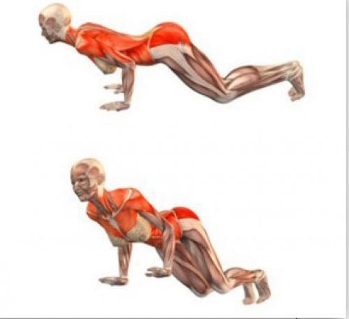 Чатуранга дандасана (поза посоха).