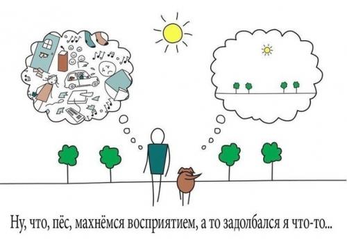 Психология восприятия. Психология восприятия - точка опоры любой человеческой. Психология восприятия. Психология восприятия - точка опоры любой человеческой.