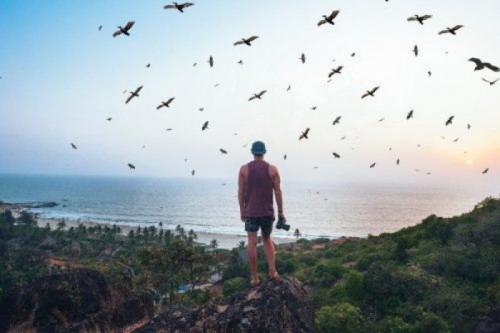 12 природных законов.

