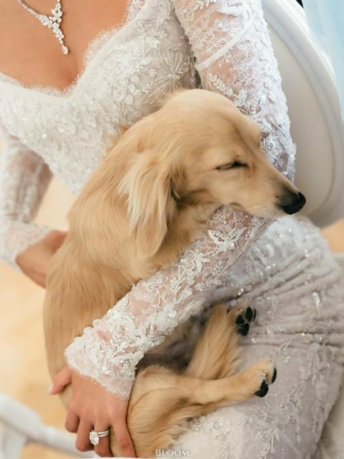 С 1 марта в клубах фитнес хаус изменены названия групповых тренировок. 05