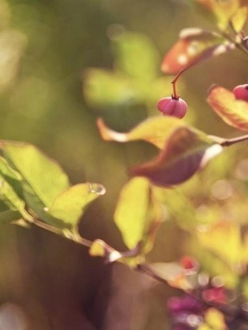 Вот она и пришла. 04