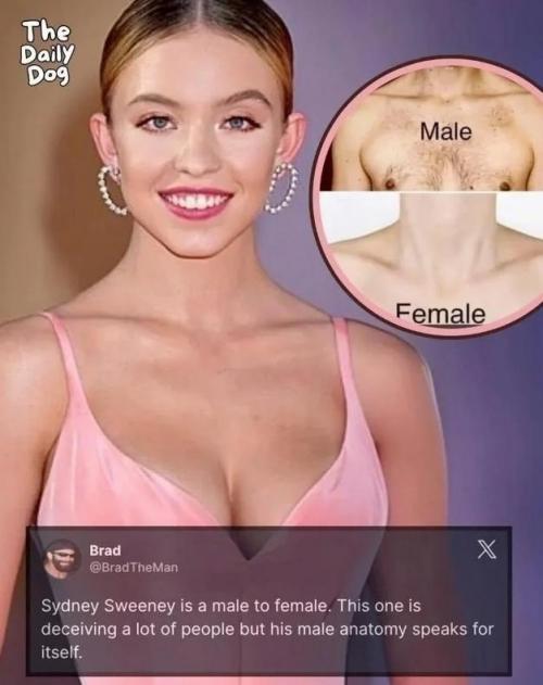 В США уже несколько месяцев обсуждают в соцсетях теорию, что сидни Суини раньше была мужчиной. 01