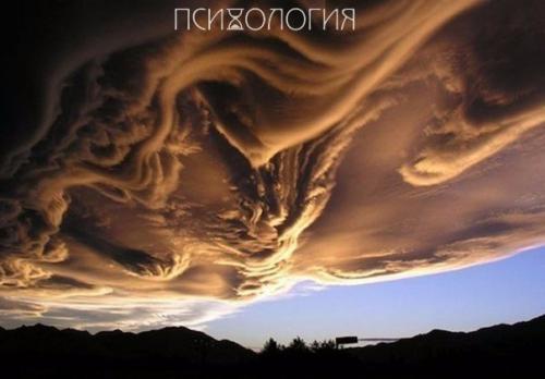 Наблюдай внимательно за природой, и ты будешь все понимать намного лучше. 07