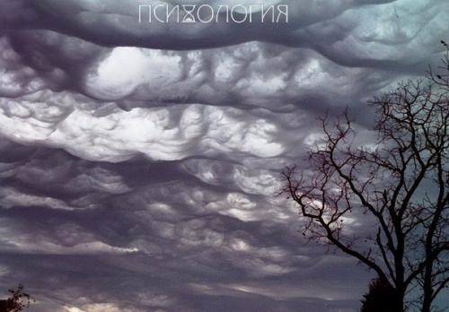 Наблюдай внимательно за природой, и ты будешь все понимать намного лучше. 04