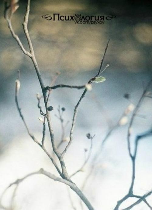 Вот она и пришла. 05