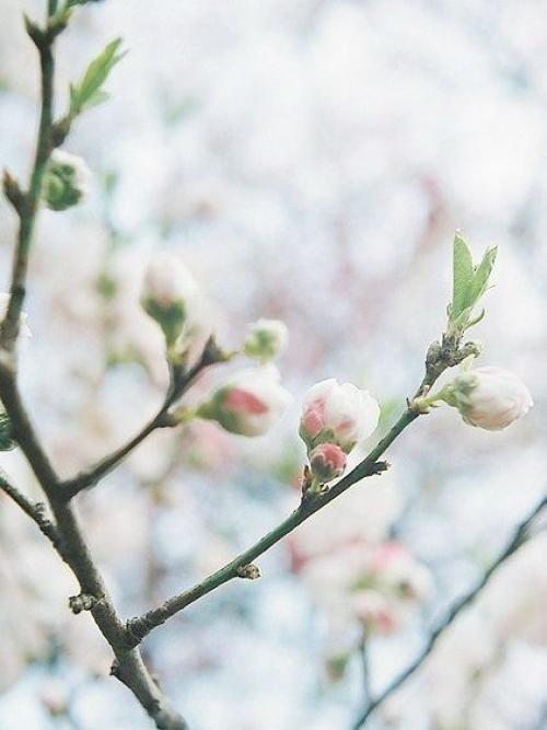 Вот она и пришла. 03