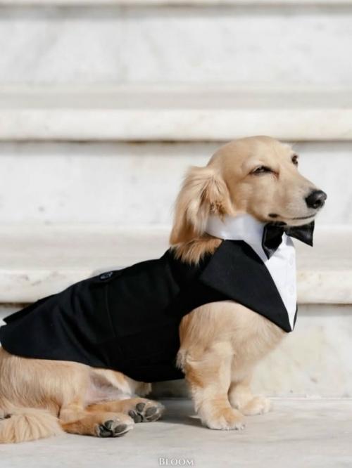 С 1 марта в клубах фитнес хаус изменены названия групповых тренировок. 03