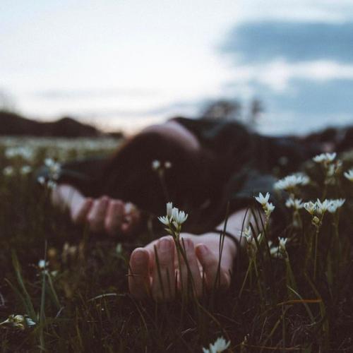 По утрам занавески открывайте.