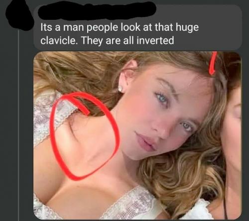 В США уже несколько месяцев обсуждают в соцсетях теорию, что сидни Суини раньше была мужчиной. 02