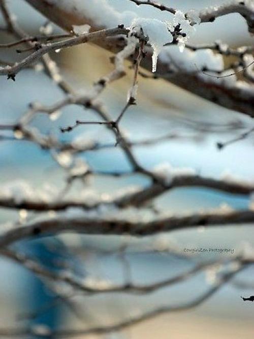 Вот она и пришла. 02